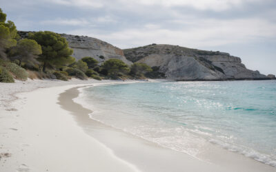 Découvrir la plage d’argent à Porquerolles : un joyau naturel à ne pas manquer